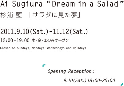 2011年9月10日（土）〜11月12日（土） 12:00〜19:00 木・金・土のみオープン オープニングレセプション：9月10日（土）18:00〜20:00